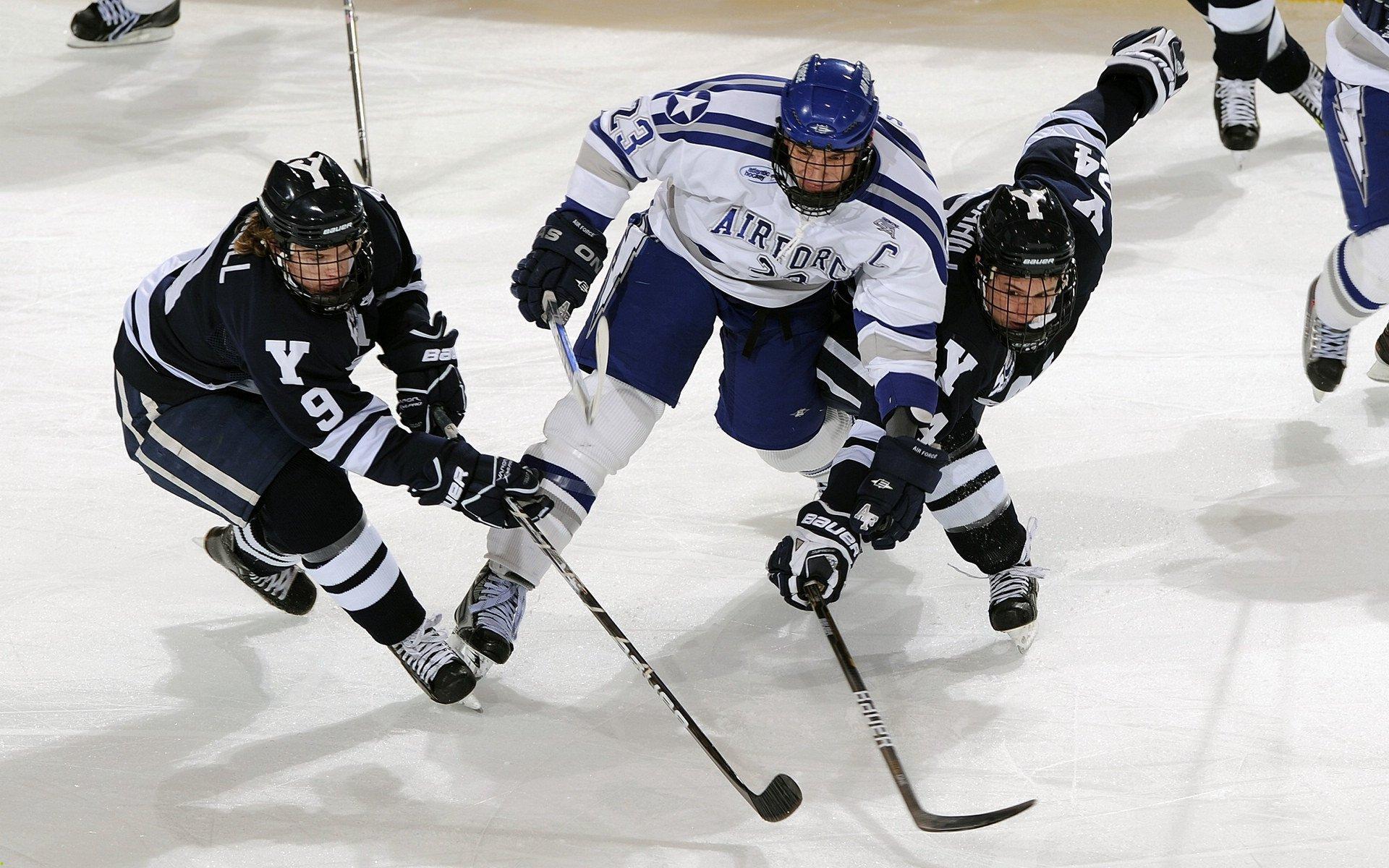 女子体育蓬勃发展，新时代的女性力量与竞技精神
