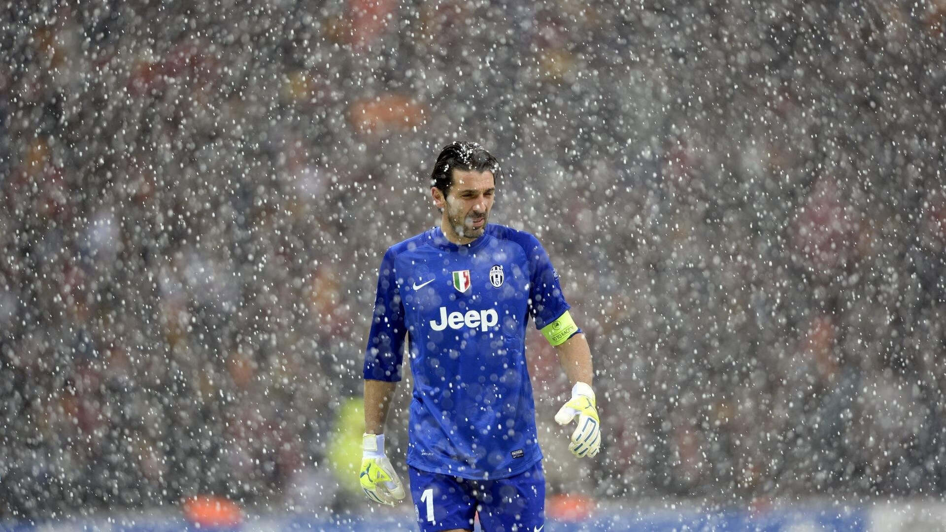 激情与归属，全球球迷文化如何塑造现代体育的独特魅力